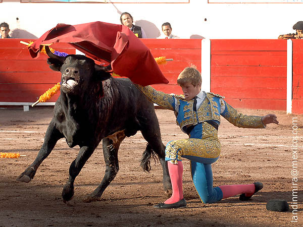 Rodilla en tierra