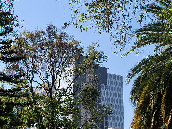 Rincn natural en la ciudad