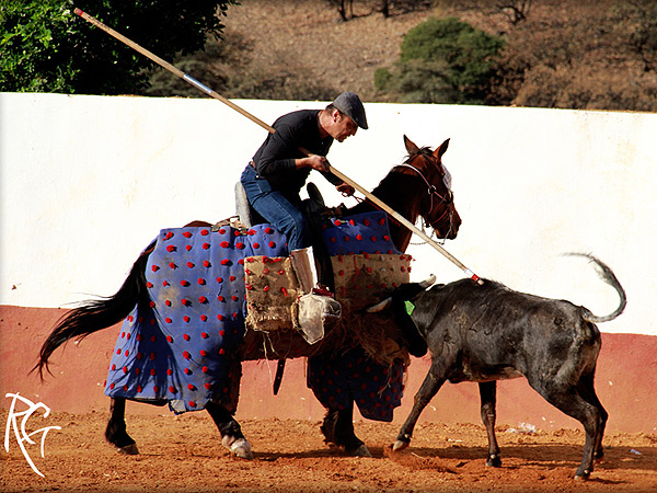 Estampa campera