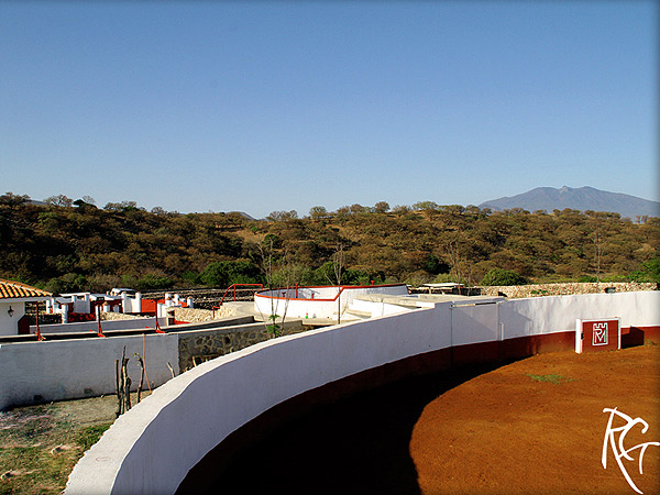 La placita de tientas