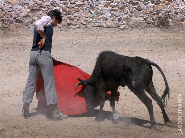 Nobleza a raudales