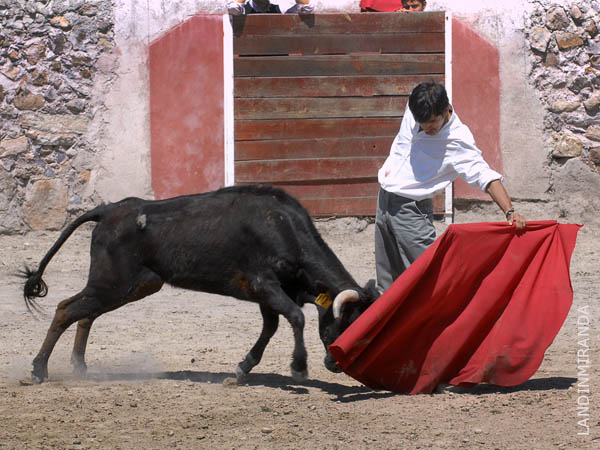 Fija en la tela