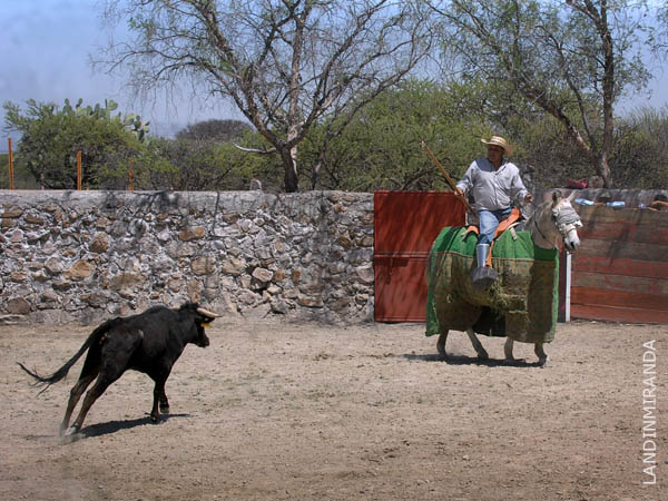 Arranc de largo