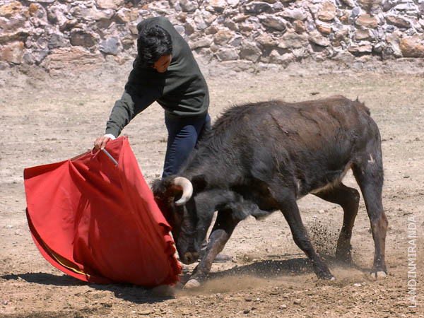 La muleta de Juan Pedro Moreno