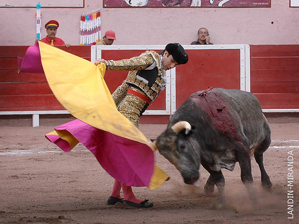 Gaoneras de Garza