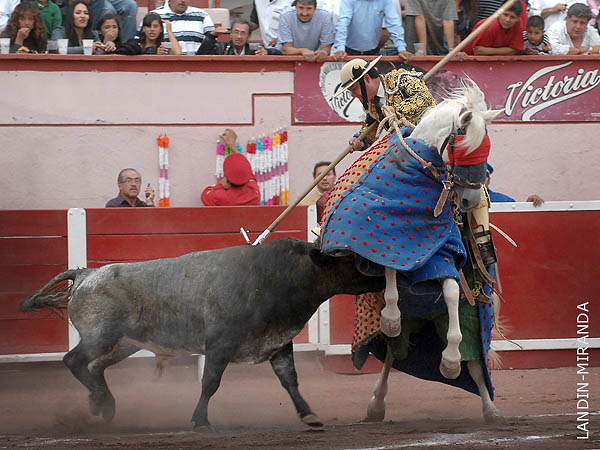 Buena vara de Curro Campos