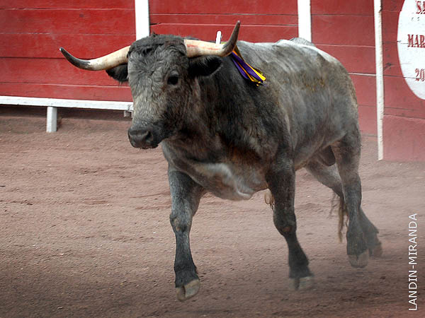 La percha del tercero