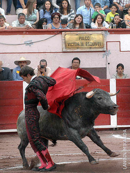 A seguir toreando