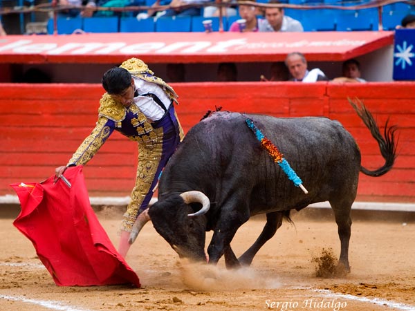 Templando la embestida