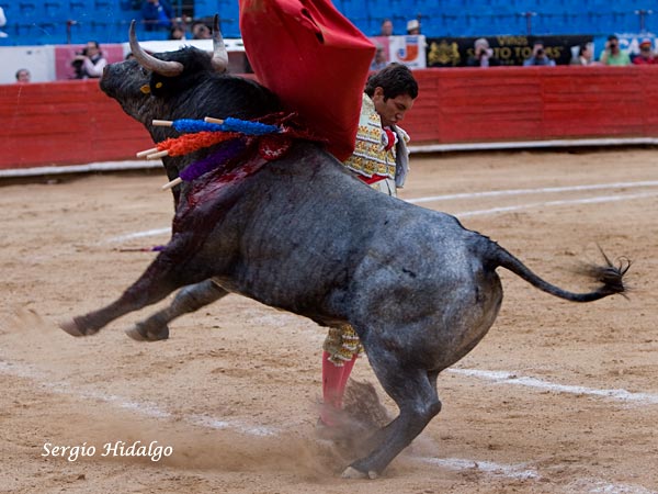 Buscando el triunfo