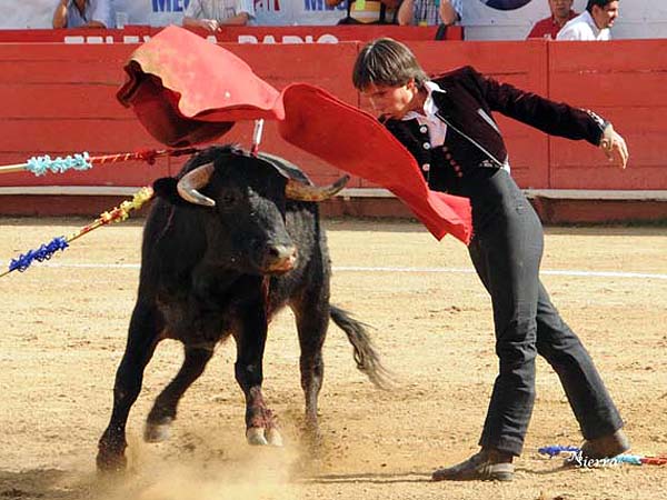 Guadalajara, lucieron los chavales