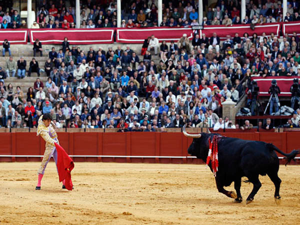 Tercer festejo en Sevilla