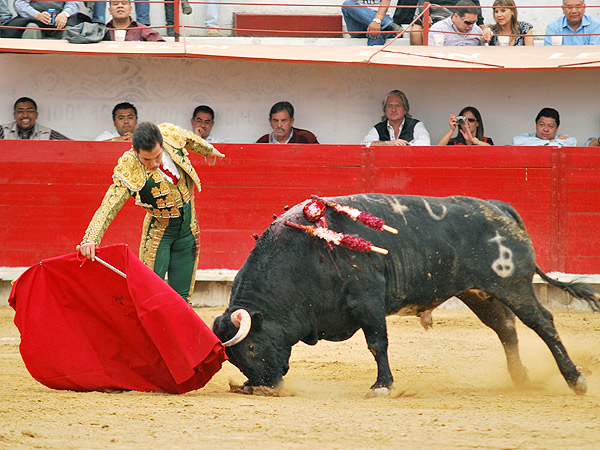 Gran faena de Gutirrez