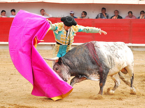 Variedad capotera de Joselito