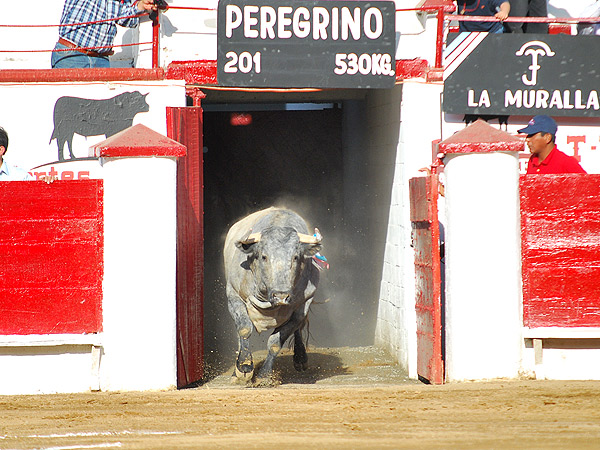 El primero de la feria