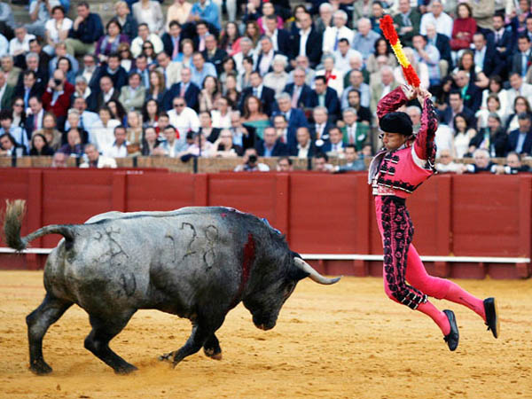 En pleno vuelo