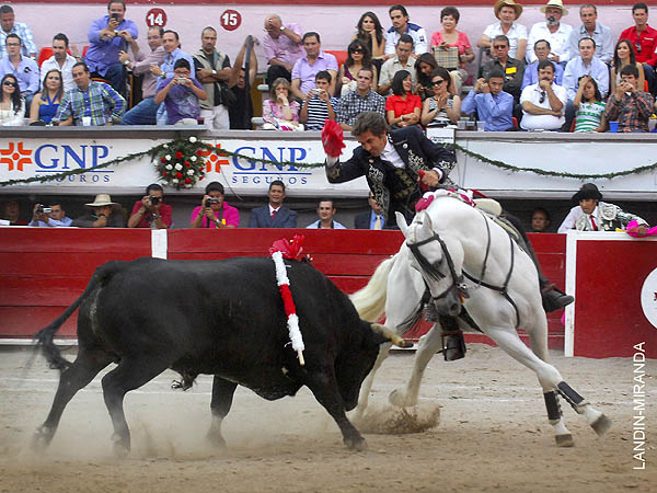 Una rosa roja