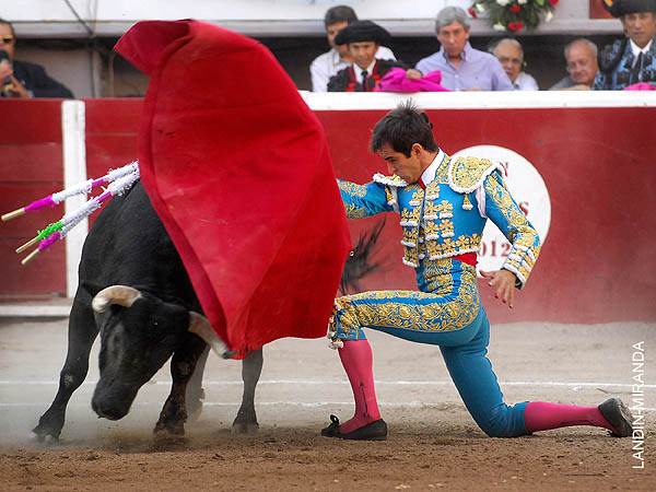 Rodilla en tierra