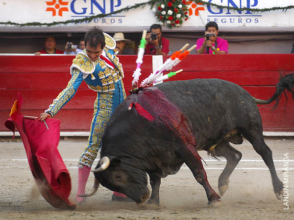 Cabeza clara y despejada