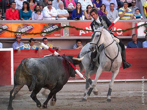 Caballo torero