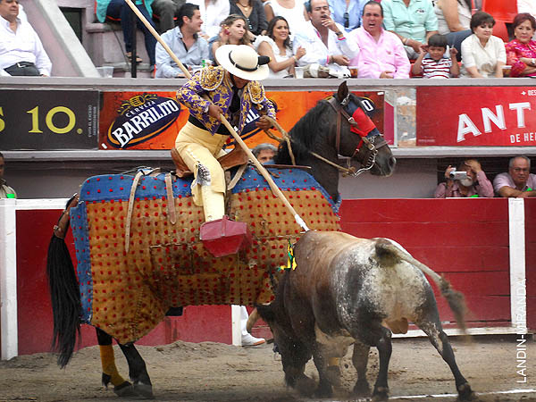 Curro Campos en la suerte de varas