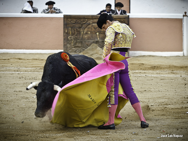 Solera en el remate