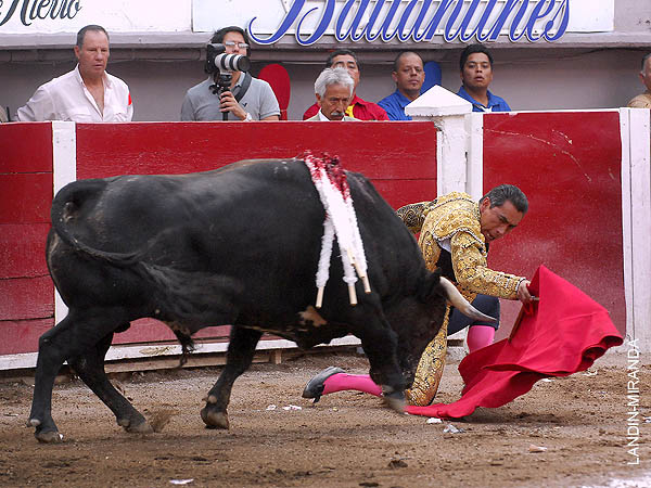 Prlogo rodilla en tierra