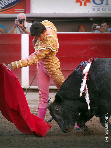 Fijo en la tela