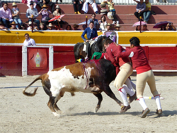 Amadores de Hidalo, jugndosela