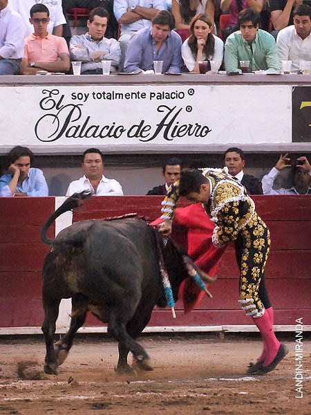 Domino en la suerte