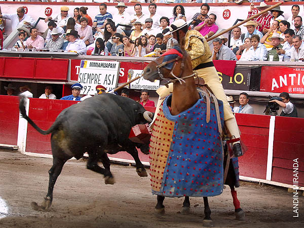 Luis Miguel en la suerte de varas