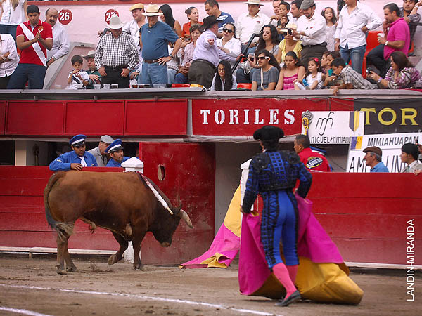 De nuevo a los potreros en Dr. Mora