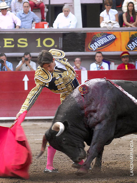 Torero fino