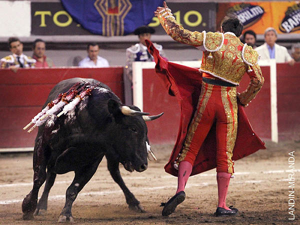 Sabe lo que debe ser el torero