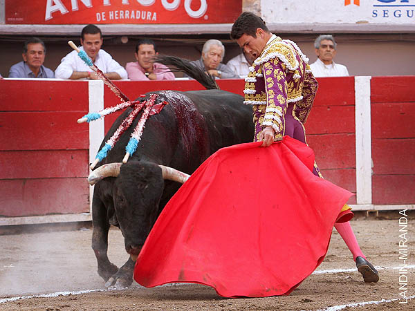 Toreo rondeo, puro y clsico