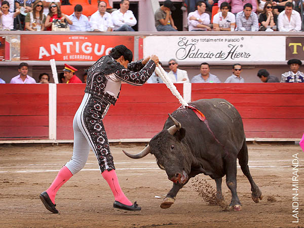 Gabriel adorna el morrillo