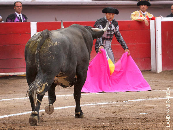 Sale el primero de la tarde