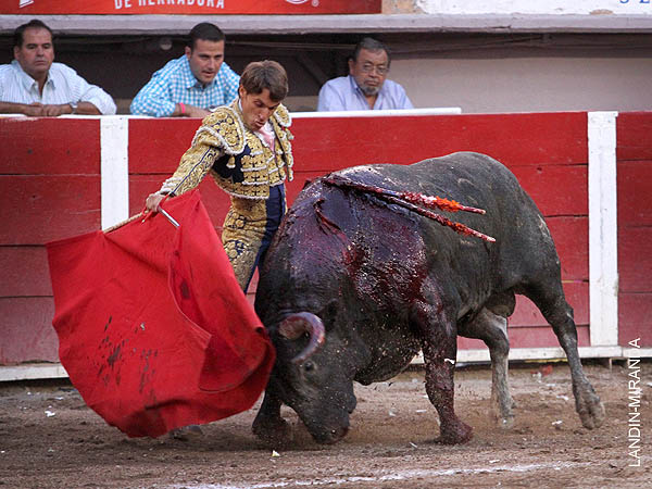 Voluntad de triunfo