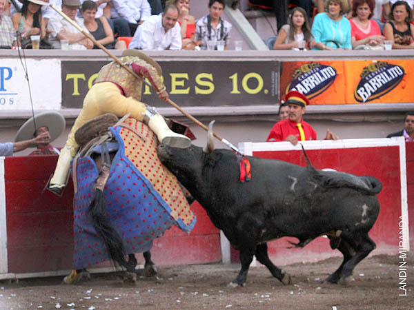 La pelea en el peto