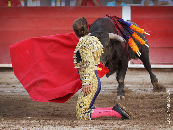 Gallardamente de rodillas