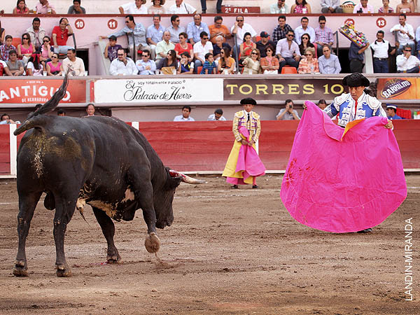 Hurgando en la arena