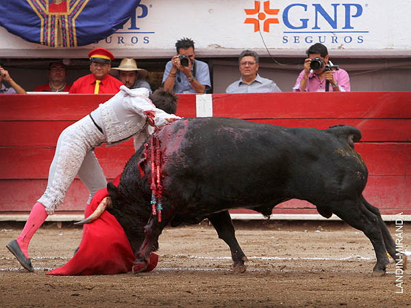 Sepultando el acero