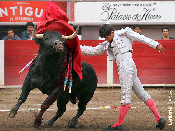 Muletazos que calaron