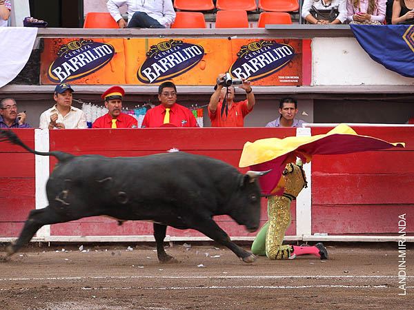 Barrera, primer espada