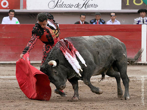 El torero disfrut cada momento