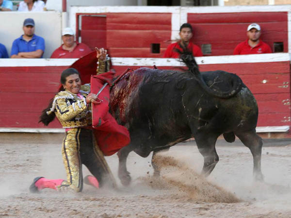 Molinete de hinojos