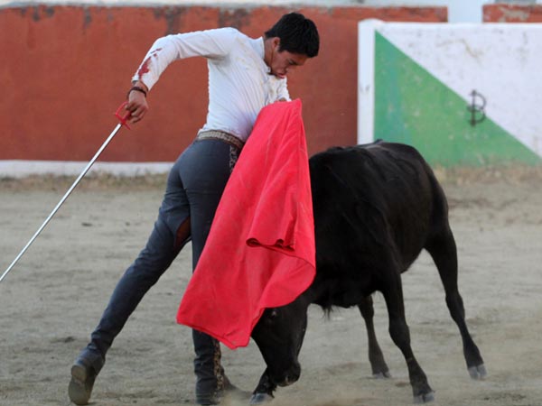 Adornos de muleta