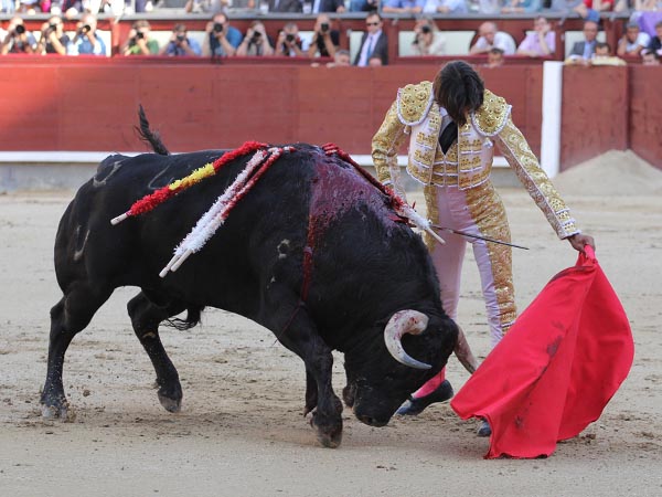 Ayudados a media altura