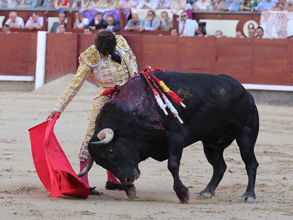 La barbilla en el pecho