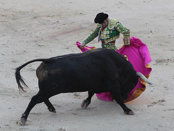 Chicuelinas de Morante